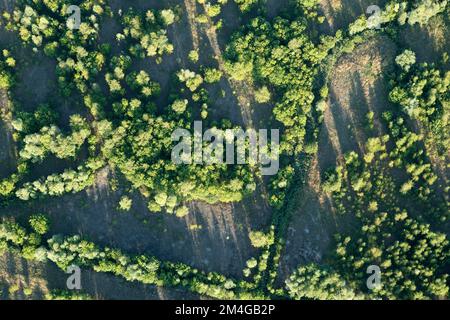 Naturschutzgebiet Verrebroekse plassen, Luftaufnahme, Belgien, Antwerpen Stockfoto