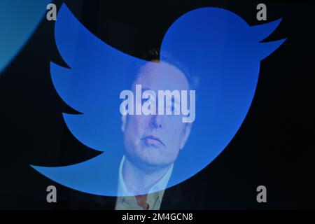 20. Dezember 2022, Cours la Ville, Auvergne Rhone Alpes, Frankreich: Elon Musk, Der CEO von Twitter ist mit dem Logo des sozialen Netzwerks zu sehen. Cours-la-Ville, 20. Dezember 2022. (Kreditbild: © Adrien Fillon/ZUMA Press Wire) Stockfoto