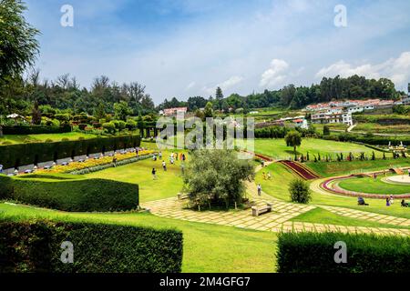 Karnataka Siri Horticulture Garden, Ooty, Udhagamandalam, Tamil Nadu, Indien Stockfoto