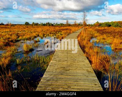 Moore Park, Grafschaft Tyrone, Nordirland Stockfoto