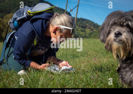 Pilzforscher, die versuchen, Wildpilze im Wald mit einem Identifikationsbuch zu identifizieren - Pilzsammeln und Pilzforsten Stockfoto