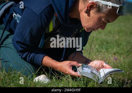 Pilzforscher, die versuchen, Wildpilze im Wald mit einem Identifikationsbuch zu identifizieren - Pilzsammeln und Pilzforsten Stockfoto