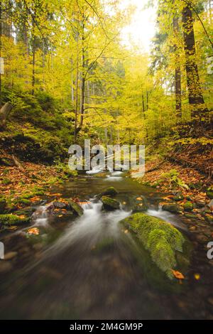 Lange Exposition eines verlorenen Flusses in einem Naturschutzgebiet, umgeben von fallenden bunten Blättern und alten Milchbäumen im Herbst. Starre hamry, Beskydy Mountain Stockfoto