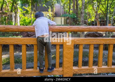 Kind klettert auf einen Brückenzaun am Fluss oder Teich in einem Garten und beobachtet etwas. Stockfoto