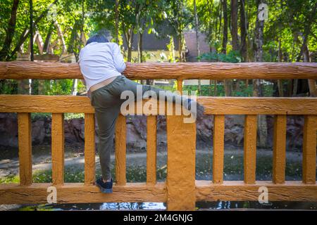 Kind klettert auf einen Brückenzaun am Fluss oder Teich in einem Garten und beobachtet etwas. Stockfoto