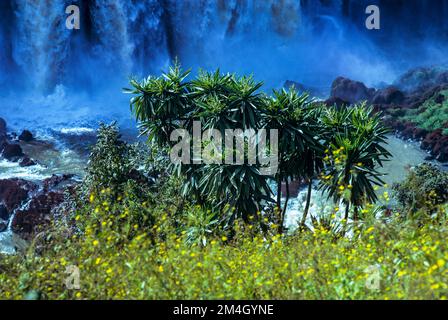 Äthiopien, 1970er, Blue Nile River Falls, Wasserfälle, Tisat, Amhara Region, Ostafrika, Stockfoto