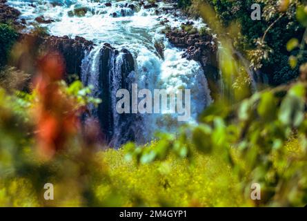 Äthiopien, 1970er, Blue Nile River Falls, Wasserfälle, Tisat, Amhara Region, Ostafrika, Stockfoto