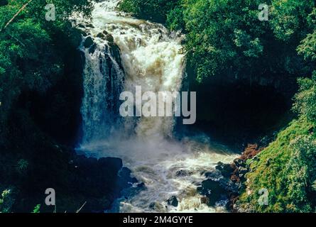 Äthiopien, 1970er, Blue Nile River Falls, Wasserfälle, Tisat, Amhara Region, Ostafrika, Stockfoto