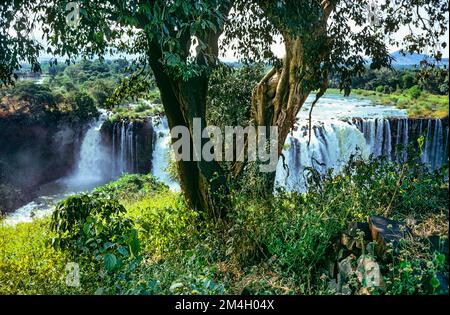 Äthiopien, 1970er, Blue Nile River Falls, Wasserfälle, Tisat, Amhara Region, Ostafrika, Stockfoto