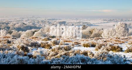 Wunderschöne Winterszene starker Frost auf und um Broc Hill Milford mit Blick auf den Norden von Staffordshire im frühen Winter Cannock Chase Country Par Stockfoto