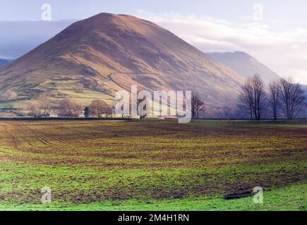 Blick auf Hartsop Dodd, Januar, Patterdale Area, Lake District National Park, North East Lake District Cumbria England Großbritannien Europa Stockfoto