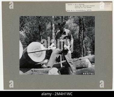 Protokollierung: Skalierung - Vermont. Fotografien zu National Forests, Resource Management Practices, Personal sowie Kultur- und Wirtschaftsgeschichte Stockfoto