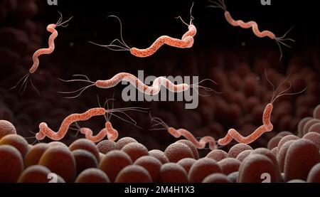 Spirillumbakterien sind die Ursache von Magengeschwüren oder bakterieller Diarrhoe , Keiminfektion , 3D Abbildung Stockfoto