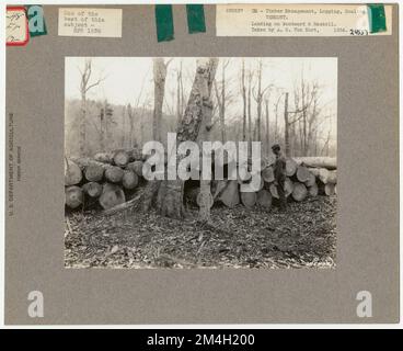 Protokollierung: Skalierung - Vermont. Fotografien zu National Forests, Resource Management Practices, Personal sowie Kultur- und Wirtschaftsgeschichte Stockfoto