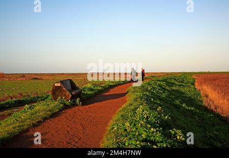 Zwei Damen mit Hunden am späten Nachmittag auf dem Norfolk Coast Path an der North Norfolk Coast in Cley Next the Sea, Norfolk, England, Großbritannien. Stockfoto