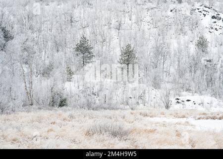 Winter Frosts, Greater Sudbury, Ontario, Kanada Stockfoto