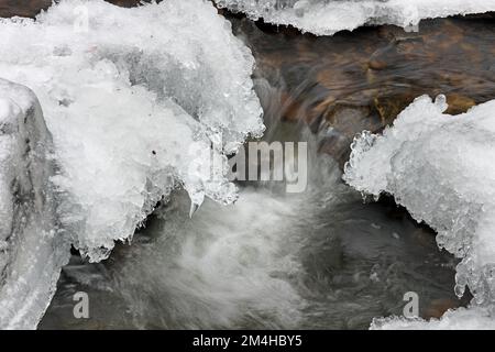 Ein teilweise gefrorener Bow Lee Beck unter Summerhill Force, Bowlees, North Pennines, Teesdale, County Durham, UK Stockfoto