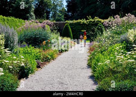 Im Sommer grenzt die Blume im ummauerten Garten des Threave Garden in der Nähe von Castle Douglas in Dumfries und Galloway, Schottland. Stockfoto