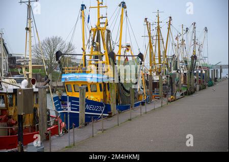 NEUHARLINGERSIEL, DEUTSCHLAND - 26. NOVEMBER 2022: Garnelenschneider im Hafen festgemacht Stockfoto