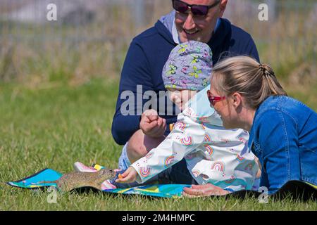 Eltern mit kleinen Kindern, die Kekse an das europäische Eichhörnchen/Souslik (Spermophilus citellus) mit der Hand auf dem Rasen im Frühjahr füttern, Burgenland, Österreich Stockfoto