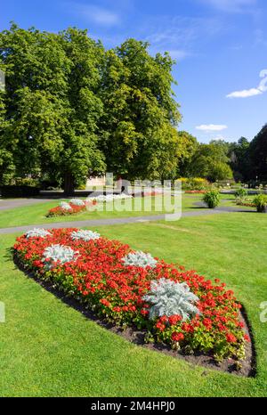 Harrogate Yorkshire Zierblumenbeete in den denkmalgeschützten Valley Gardens Harrogate North Yorkshire England GB Europa Stockfoto