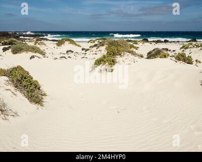 Playa Caleton Blanco, Strand in Orzola, Nordküste von Lanzarote, Kanarische Inseln, Spanien, Europa Stockfoto