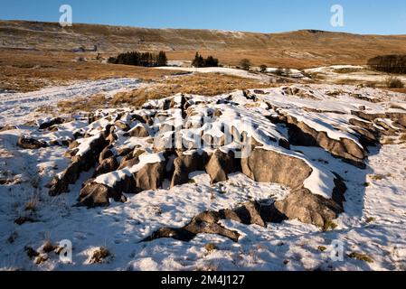 Schneebedeckte Kalksteinpflaster, Chapel-le-Dale, Yorkshire Dales National Park. Stockfoto