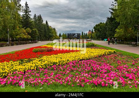 Blumenrüben im Veteranenpark, Barnaul, Altai Krai, Russland Stockfoto