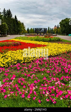 Blumenrüben im Veteranenpark, Barnaul, Altai Krai, Russland Stockfoto