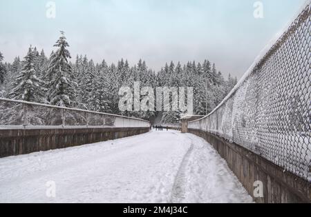 Verschneite Winterlandschaft im Capilano River Regional Park in der Nähe des Cleveland Dam in North Vancouver, British Columbia, Kanada Stockfoto