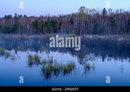 Morgennebel bei Sonnenaufgang auf einem Biberteich im Frühling, Greater Sudbury, Ontario, Kanada Stockfoto