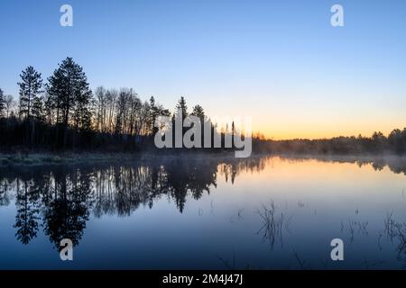 Morgennebel bei Sonnenaufgang auf einem Biberteich im Frühling, Greater Sudbury, Ontario, Kanada Stockfoto