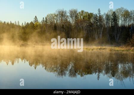 Morgennebel bei Sonnenaufgang auf einem Biberteich im Frühling, Greater Sudbury, Ontario, Kanada Stockfoto