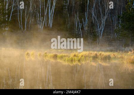 Morgennebel bei Sonnenaufgang auf einem Biberteich im Frühling, Greater Sudbury, Ontario, Kanada Stockfoto