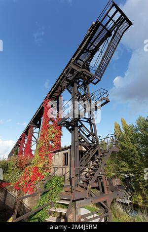 Wilde Weinrebe in Herbstfarben, die auf Stahlkonstruktionen wächst, stillgelegte Stahlwerke, Landschaftspark Duisburg-Nord, Duisburg-Meiderich, Norden Stockfoto