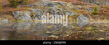 Im Frühling in einem Biberteich im Großraum Sudbury, Ontario, Kanada, spiegeln sich die Uferlinien vor der Dämmerung wider Stockfoto