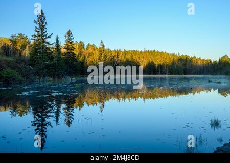 Küstenreflexionen bei Sonnenaufgang in einem Biberteich im Frühling, Greater Sudbury, Ontario, Kanada Stockfoto