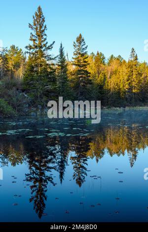 Küstenreflexionen bei Sonnenaufgang in einem Biberteich im Frühling, Greater Sudbury, Ontario, Kanada Stockfoto