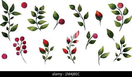 Satz stilisierter botanischer Vektorelemente aus Ästen, Knospen und Beeren. Stock Vektor