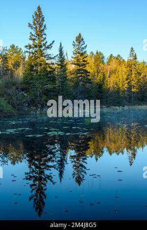 Küstenreflexionen bei Sonnenaufgang in einem Biberteich im Frühling, Greater Sudbury, Ontario, Kanada Stockfoto