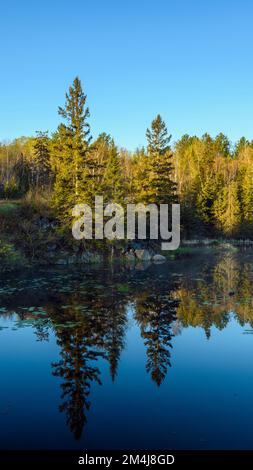 Küstenreflexionen bei Sonnenaufgang in einem Biberteich im Frühling, Greater Sudbury, Ontario, Kanada Stockfoto