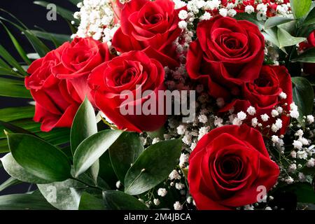 Schließen. Strauß roter Rosenblüten, isoliert auf schwarzem Hintergrund. Stockfoto