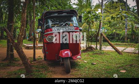 Eine rote Auto-Rikscha (Tuktuk) in einem grünen Garten in Sri Lanka Stockfoto