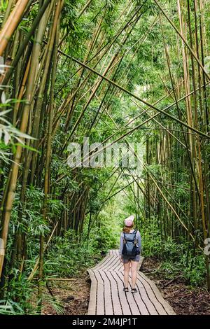 Frau mit Rucksack, die durch den Bambuswald spaziert, auf Entdeckungsreise geht, viel unterwegs ist, Outdoor-Abenteuer Stockfoto