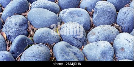 Hintergrund von blauen Steinen mit getrockneten Blättern, die dazwischen in einem Garten fallen Stockfoto