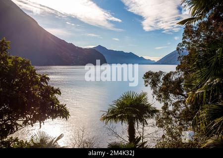 Herrliche Aussicht auf den Luganer See mit den Schweizer Alpen und Park an der nächsten Seeküste. Blick vom Olive Trail in den Vororten von Lugano Stockfoto