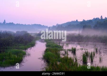 Ein vor kurzem nach Sonnenuntergang entwässerter Biberteich, Greater Sudbury, Ontario, Kanada Stockfoto