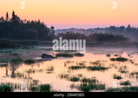 Ein vor kurzem nach Sonnenuntergang entwässerter Biberteich, Greater Sudbury, Ontario, Kanada Stockfoto