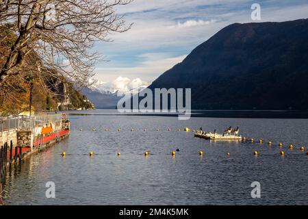 Atemberaubender Blick auf die europäischen Alpen von Lugano (Olive Trail) und das Wasser des Lugano Sees und der schwarzen Enten Stockfoto