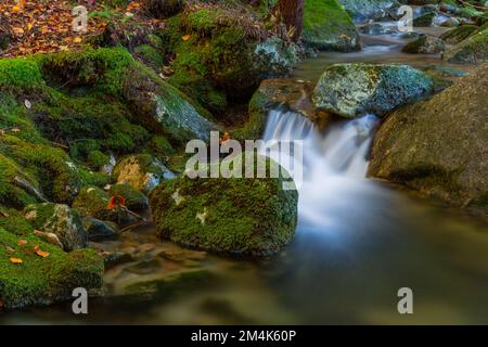 Wasserfall im portugiesischen Nationalpark Geres, im Norden des Landes Stockfoto